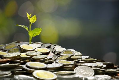 Image of pile of coins with plant on top for business, saving, growth, economic concept